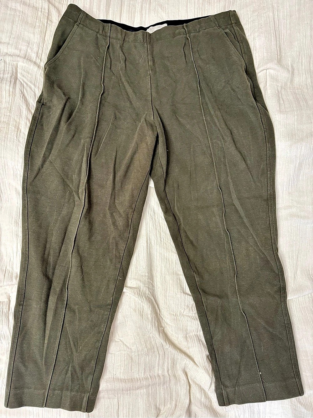 Everlane Pull-On Dream Pant Straight Leg Pants in Green, XL
